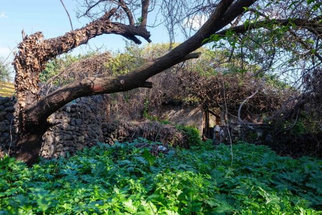 Terreno Edificabile in vendita a San Gregorio di Catania - Foto 15