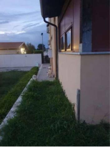 Immobile in asta di 345 m² con più di 5 locali in vendita a Giugliano in Campania - Foto 2