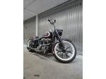 Harley Davidson Fat boy special pezzo unico
