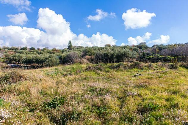 Terreno in vendita a Biancavilla - Foto 15