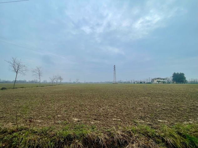 Terreno agricolo - Foto 3