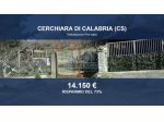Immobile in asta di 4300 m² in vendita a Cerchiara di Calabria