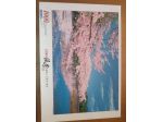 Puzzle da 1000 pezzi