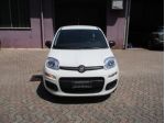 FIAT Panda 1.0 FireFly S&S Hybrid*PREZZO REALE rif. 23937429
