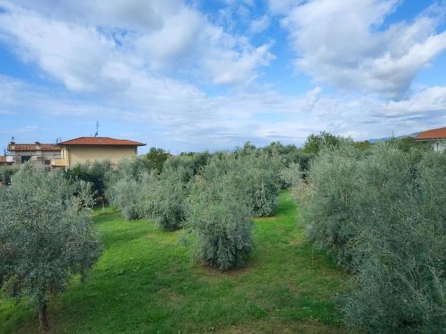 Villa in vendita a Cervaiolo - Montignoso 400 mq Rif: 1038370 - Foto 2