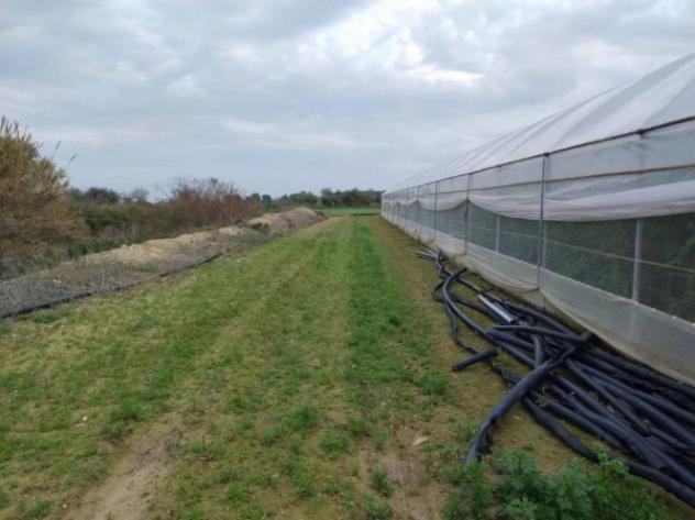 Immobile in asta di 48970 m² in vendita a Noto - Foto 11