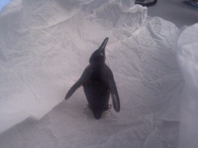 Coppia di Pinguini in argento smaltato - Foto 4