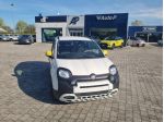 FIAT Panda 1.0 FireFly 70cv S&S Hybrid Pandina - DISPONIBILI VARI COLORI