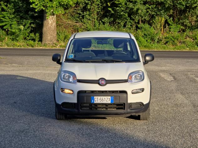 Fiat Panda 1.0 FireFly S&S Hybrid CV-69 E6 Manuale NEO 2024 - Foto 2