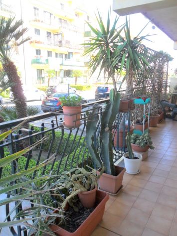 DISPONIBILITA' CAMERA A MILAZZO - Foto 10