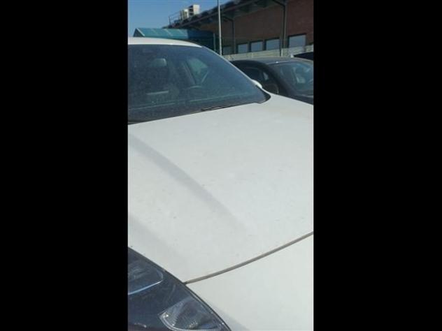 FORD Kuga 1.5 EcoBlue 120cv ST-Line X 2WD Auto rif. 24016194