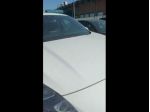 FORD Kuga 1.5 EcoBlue 120cv ST-Line X 2WD Auto rif. 24016194