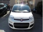 FIAT Panda MY25 - 1.0 FireFly Hybrid POP rif. 21599367