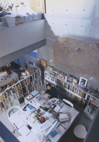 FRANK LLOYD WRIGHT, CHIPPERFIELD , EISENMAN , ANDO - 4 VOLUMI - Foto 10