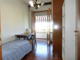 Stanza/Posto Letto in affitto a Pisa 16 mq Rif: 832858