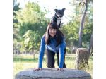Dog sitter educatrice cinofila