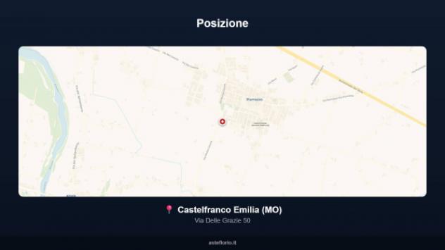 Immobile in asta di 4560 m² in vendita a Castelfranco Emilia - Foto 10