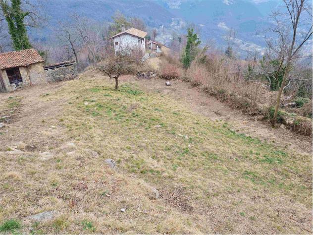 2239/2025 4 BG - Fabbricato rurale con stalla e fienile + terreni agricoli e boschivi - Foto 3