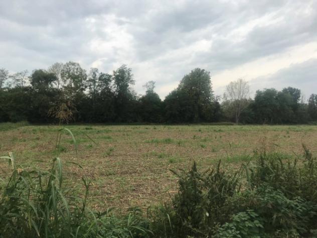 Terreno di 46000 m² in vendita a San Zeno Naviglio - Foto 3