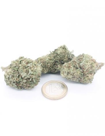 Super Skunk - Foto 3