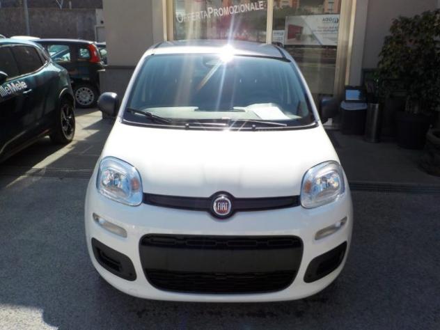 FIAT Panda MY25 - 1.0 FireFly Hybrid POP rif. 24089263