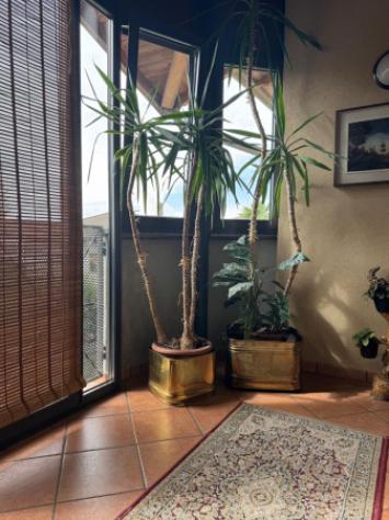 Villa di 460 m² con più di 5 locali e box auto doppio in vendita a Induno Olona - Foto 8