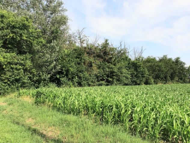 Rustico / Casale di 400 m² in vendita a Bomporto - Foto 8