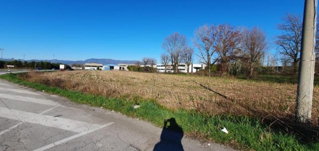 Terreno ed. ind.le/artig.le in vendita a Carraia - Capannori 6500 mq Rif: 1330008 - Foto 2