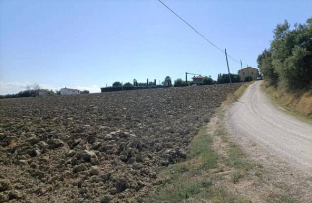 Immobile in asta di 15707 m² in vendita a Mondolfo - Foto 4