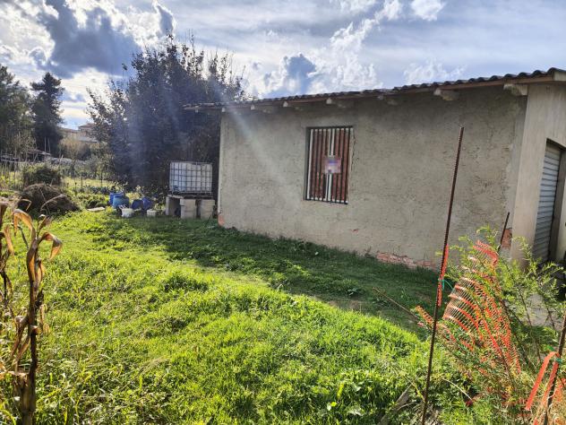 Agricolo in Località Gruccia - Foto 3