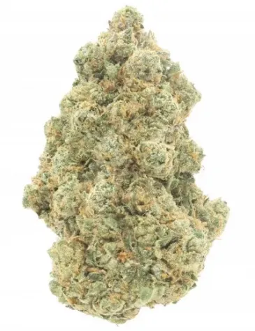 Ak-47