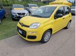 FIAT Pandina 1.0 FireFly 65 CV Hybrid Pop rif. 23516551