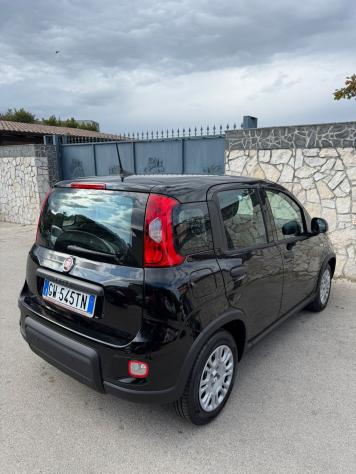 Fiat Panda 1.0 FireFly S&S Hybrid Pandina - Foto 4