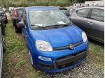 FIAT Panda Panda 1.0 FireFly S&S Hybrid Icon