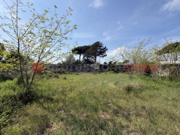 Terreno Agricolo - Terracina . Rif.: Cod. rif 3308552VRG - Foto 7
