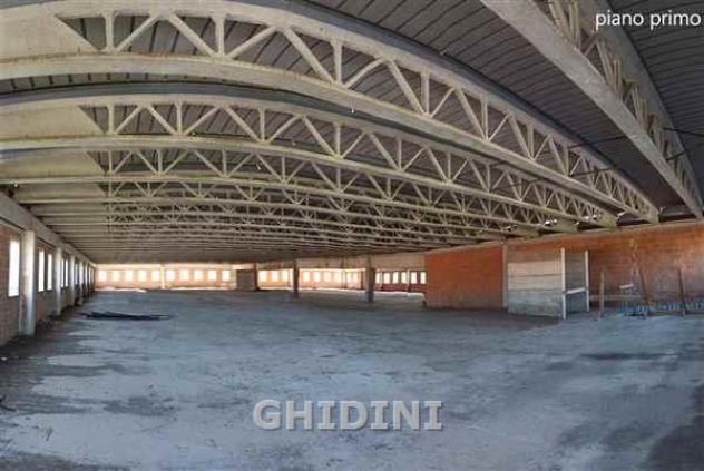 CAPANNONE di 2 vani e di 2220 mq (GROSSETO - AURELIA NORD) rif. 2312.324M - Foto 7
