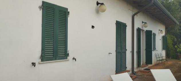 VILLA di 6 vani e di 110 mq (PIETRASANTA) rif. P318 - Foto 3