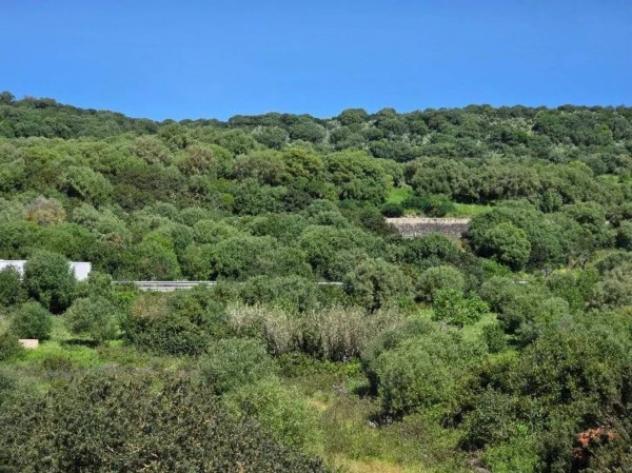 Immobile in asta di 78608 m² in vendita a Sedilo - Foto 18