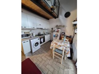 Loft in affitto a Pisa 30 mq Rif: 1359293