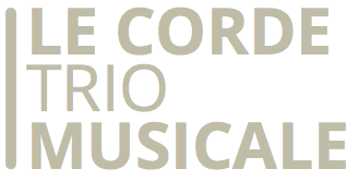 Intrattenimento musicale: musica per piccoli e grandi eventi, matrimoni, feste
