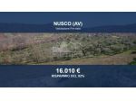 Immobile in asta di 33820 m² in vendita a Nusco