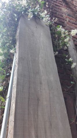 Vecchia tavola tavolone legno massello in faggio