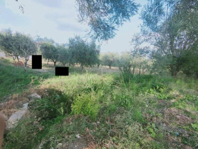 Immobile in asta di 6948 m² in vendita a Oliveto Citra - Foto 4