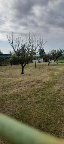 Terreno agricolo in vendita a Castelnuovo - Prato 2000 mq Rif: 1447658 - Foto 2