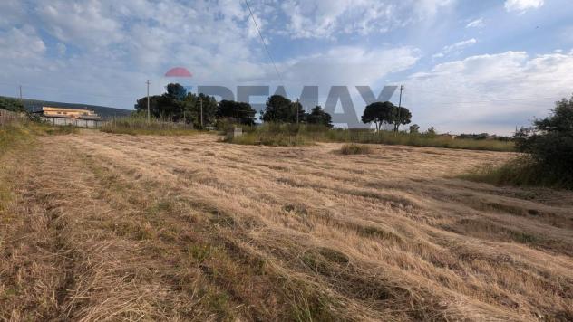 Terreno in vendita a Vittoria - Foto 6