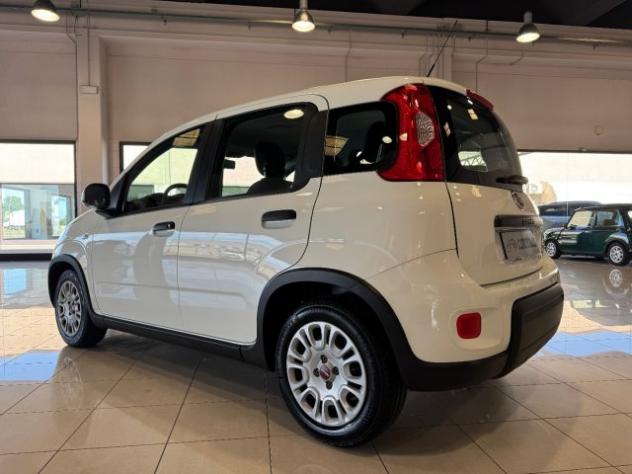 FIAT Panda 1.0 FireFly S&S Hybrid PREZZO REALE 5 POSTI rif. 23811877 - Foto 3