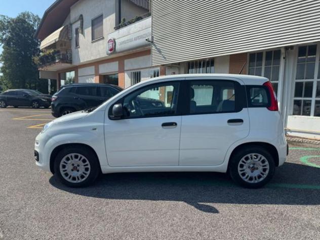 FIAT Panda III 1.0 FireFly 70Cv S&S Hybrid Easy rif. 23909664 - Foto 3