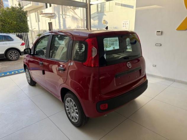 FIAT Panda 1.0 FireFly S&S Hybrid Pop da €139,00 mensili rif. 23353166 - Foto 7