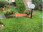 Villetta a schiera in vendita a Avenza - Carrara 200 mq  Rif: 1344177
