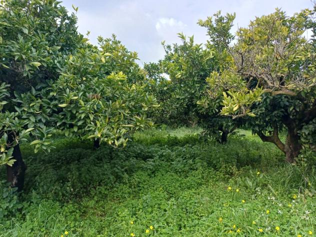 Villa singola in vendita a Chiaramonte Gulfi - Foto 10